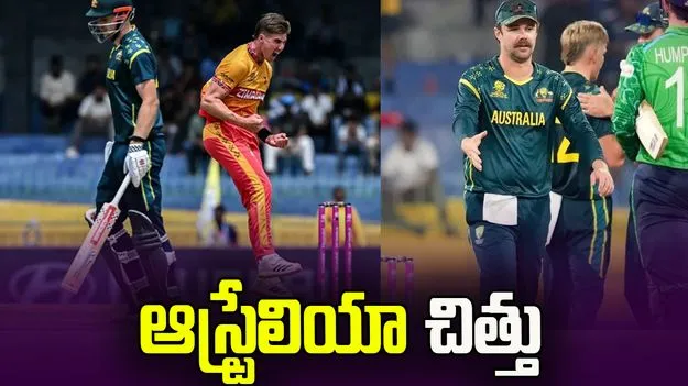 టీ20 ప్రపంచ కప్ 2026: జింబాబ్వే చేతిలో ఆస్ట్రేలియా చిత్తు 