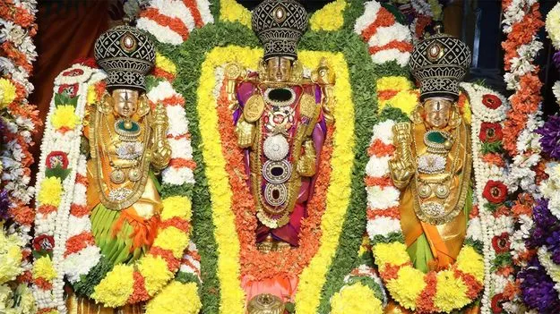 వైభవంగా కల్యాణ వెంకన్న రథోత్సవం