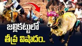 జల్లికట్టులో తీవ్ర విషాదం.. యువకుడి మృతి.. 26 మందికి గాయాలు..