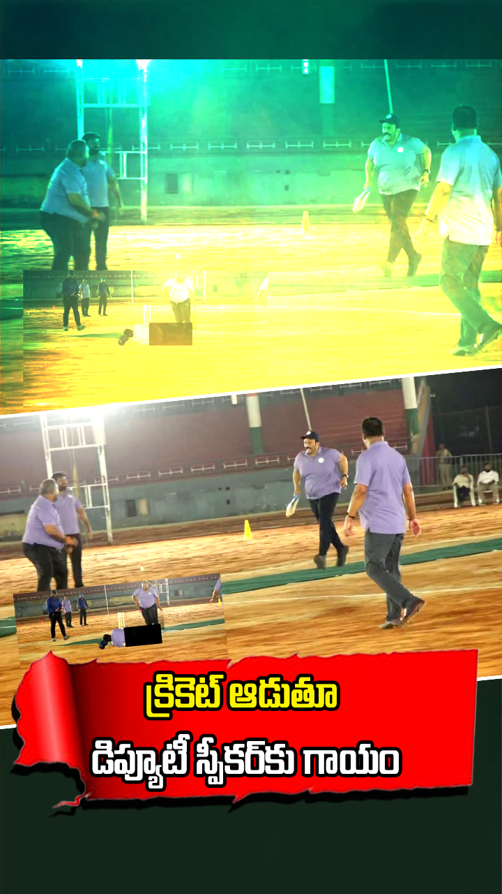 క్రికెట్ ఆడుతూ డిప్యూటీ స్పీకర్‌కు గాయం