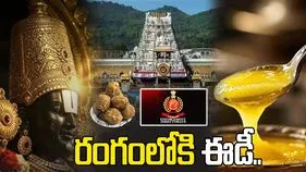 టీటీడీ లడ్డూ కల్తీ నెయ్యి కేసులో ఈడీ ఎంట్రీ..