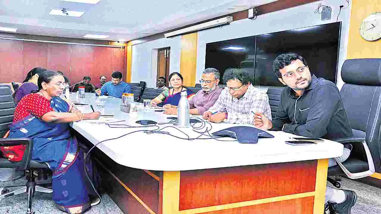 రూఫ్‌టాప్‌ సోలార్‌ అమరికలో ఇబ్బందులు