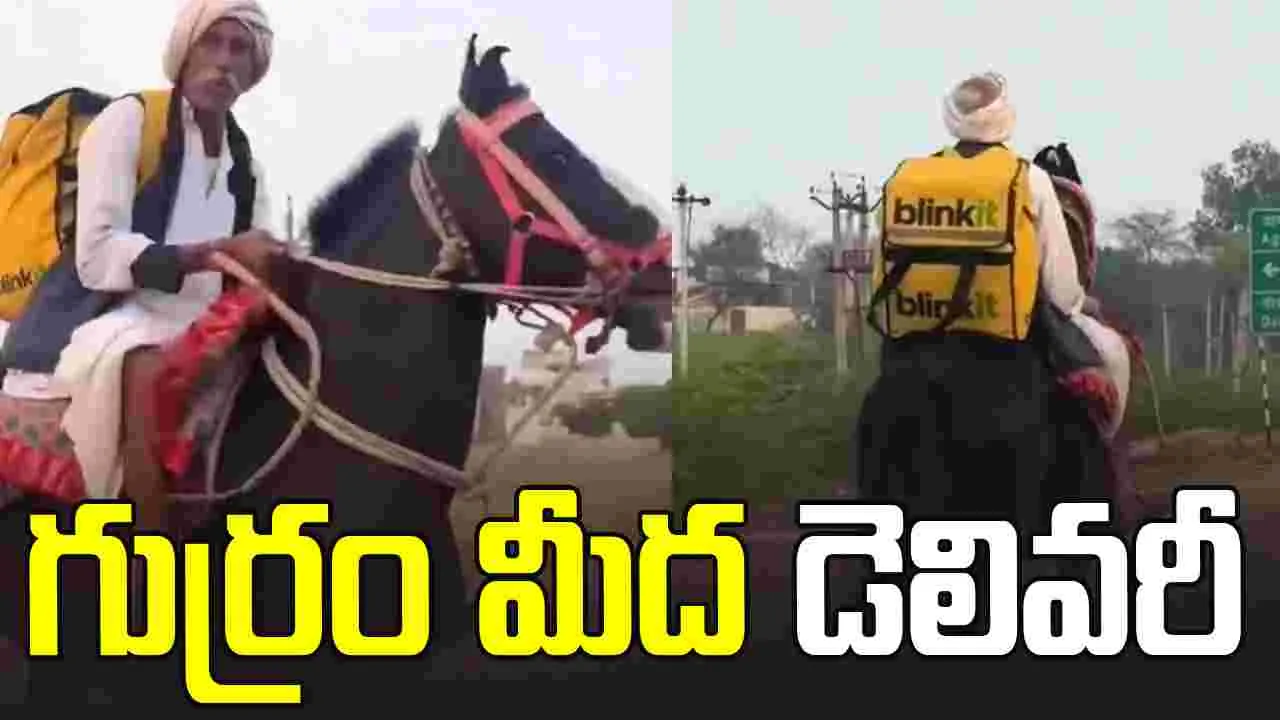 ముందెన్నడూ చూడని రీతిలో బ్లింకిట్ డెలివరీ.. ఏకంగా గుర్రం మీద స్వారీ చేస్తూ..
