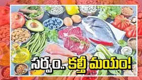 సర్వం.. కల్తీ మయం!