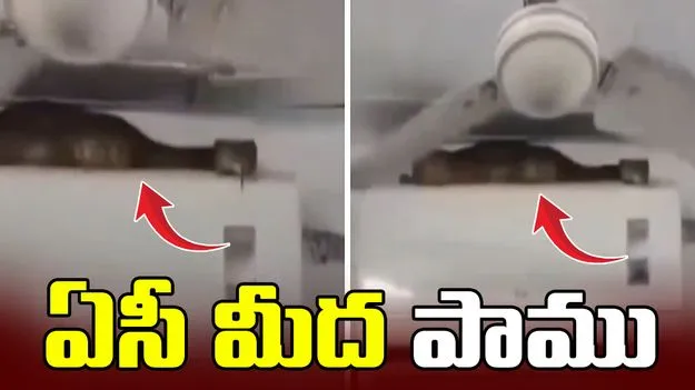 ఏసీ మీద  7 అడుగుల పాము.. దానికి కూడా చల్లదనం కావాలిగా.. 