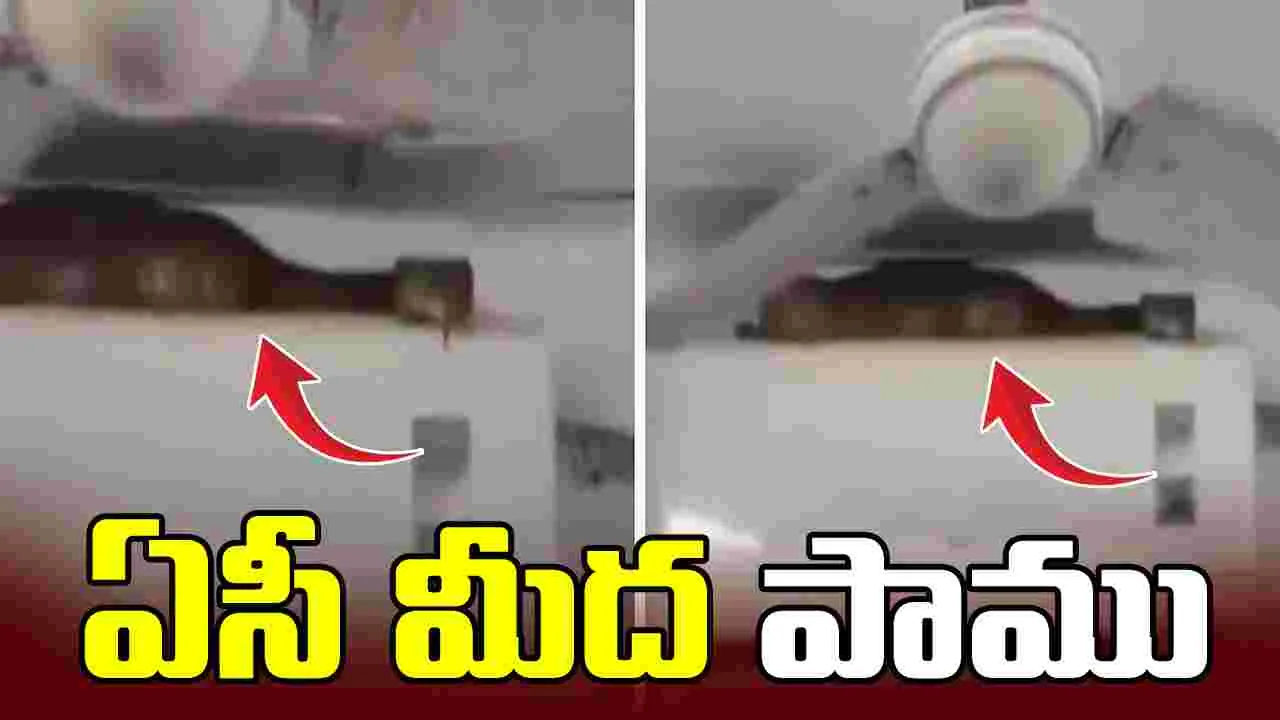 ఏసీ మీద  7 అడుగుల పాము.. దానికి కూడా చల్లదనం కావాలిగా.. 