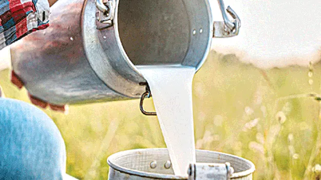 Is it the 'milking' of diseases? రోగాల ‘పాల’వ్వడమేనా?