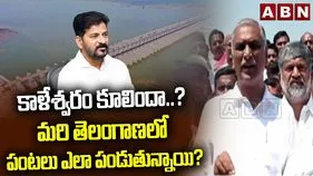 కాళేశ్వరం కూలిందని చిల్లర మాటలు మాట్లాడుతారా .. రేవంత్‌రెడ్డిపై హరీశ్‌రావు ధ్వజం