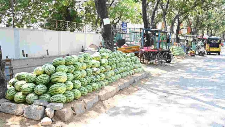 తిరుపతిలో భానుడి భగభగలు  