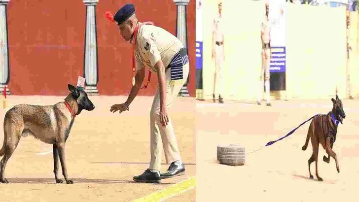 ఎస్పీజీ కంటే బాగా పనిచేస్తుందనే ముద్ర ఐఎస్‌డబ్ల్యూకు ఉంది: ఏడీజీ విజయ్ కుమార్ 