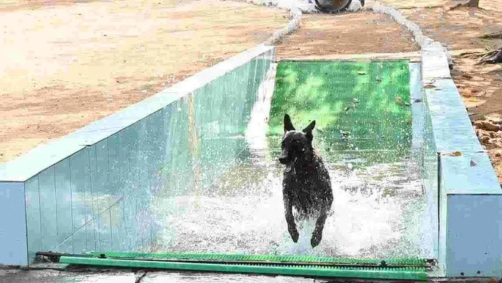 ఎస్పీజీ కంటే బాగా పనిచేస్తుందనే ముద్ర ఐఎస్‌డబ్ల్యూకు ఉంది: ఏడీజీ విజయ్ కుమార్ 