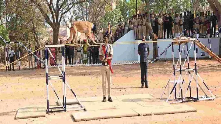 ఎస్పీజీ కంటే బాగా పనిచేస్తుందనే ముద్ర ఐఎస్‌డబ్ల్యూకు ఉంది: ఏడీజీ విజయ్ కుమార్ 