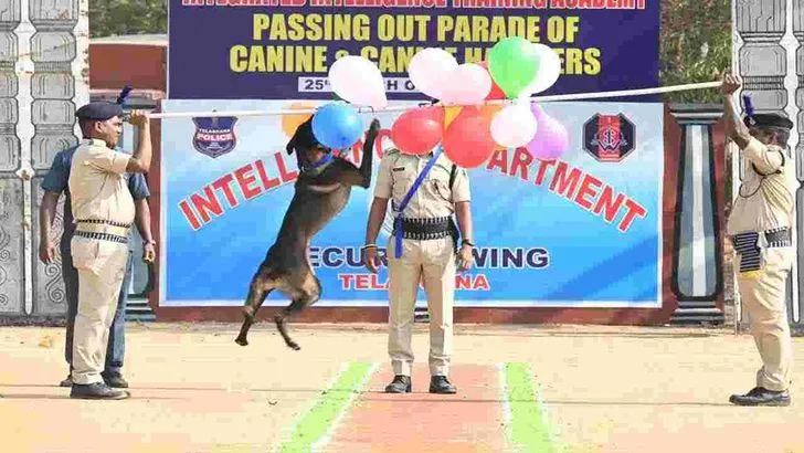 ఎస్పీజీ కంటే బాగా పనిచేస్తుందనే ముద్ర ఐఎస్‌డబ్ల్యూకు ఉంది: ఏడీజీ విజయ్ కుమార్ 