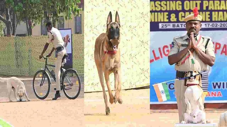 ఎస్పీజీ కంటే బాగా పనిచేస్తుందనే ముద్ర ఐఎస్‌డబ్ల్యూకు ఉంది: ఏడీజీ విజయ్ కుమార్ 