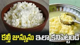 మార్కెట్‌లో కల్తీ జున్ను.. ఇలా గుర్తించండి