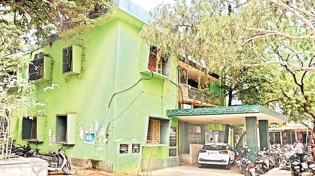 పప్పుశనగ రైతులకు ఊరట