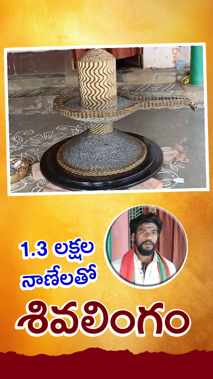నాణేలతో అద్భుత శివలింగం!