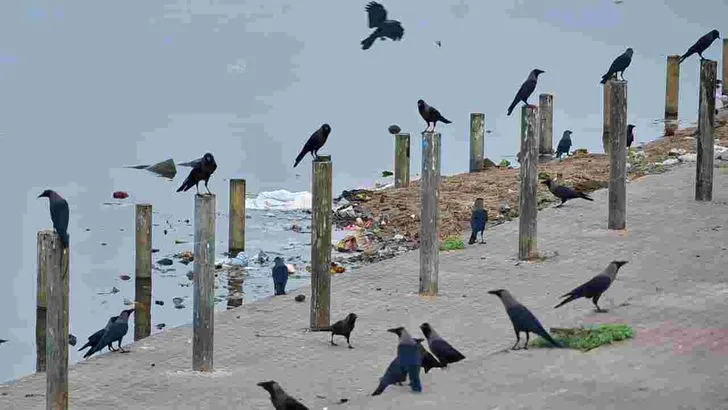 చంద్రగ్రహణం.. జపాలు, నదీ స్నానాలు..