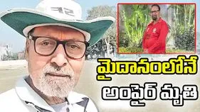 తేనెటీగల దాడి.. మైదానంలోనే అంపైర్ మృతి