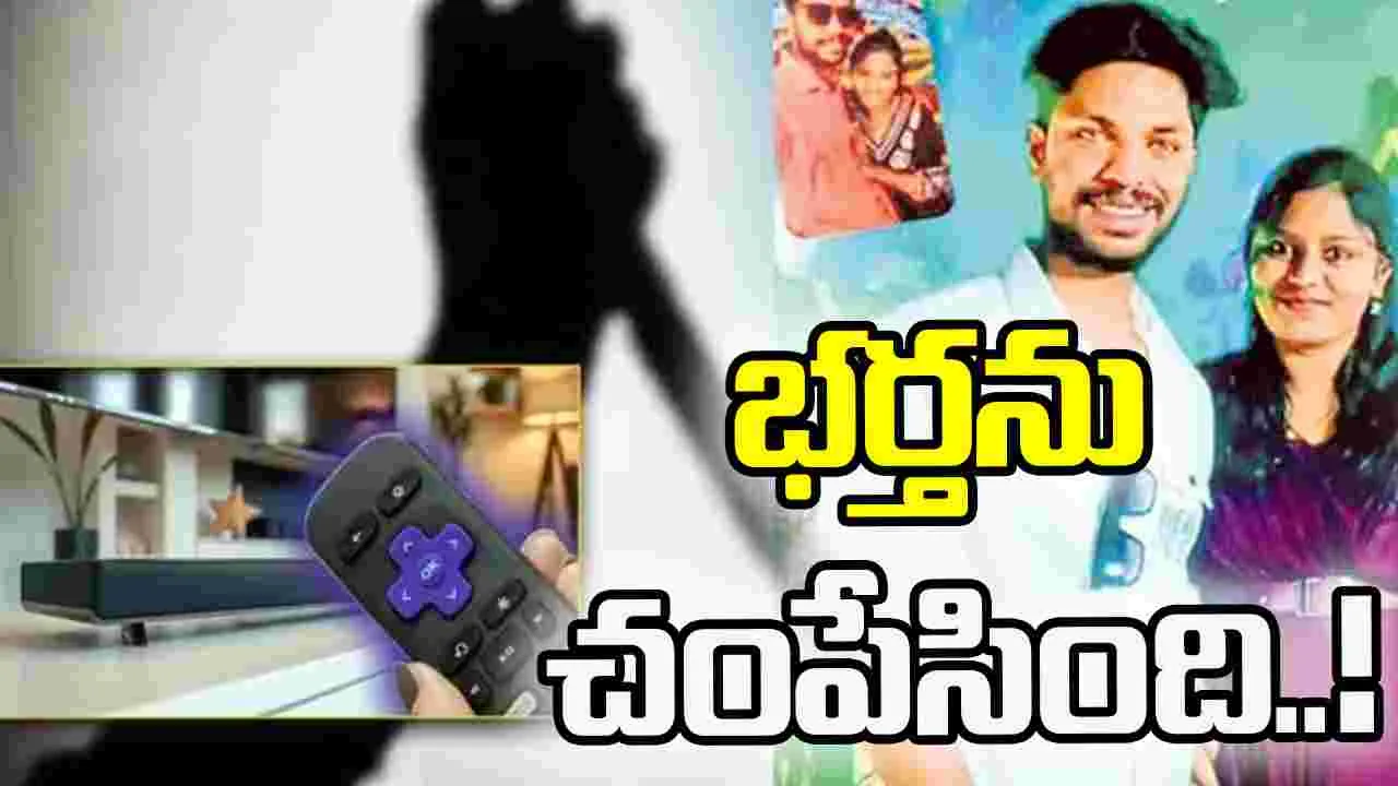 టీవీ సౌండ్‌ తగ్గించమన్నందుకు చంపేసింది!