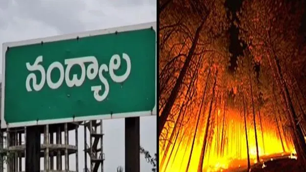 నంద్యాల జిల్లాలోని అడవిలో కార్చిచ్చు