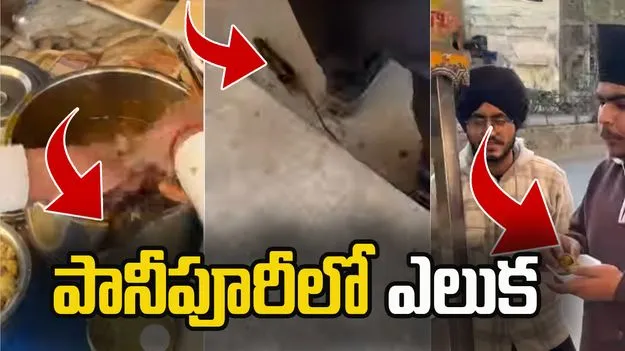 పానీపూరీలో ఎలుక.. అయినా కూడా తినేశాడు..