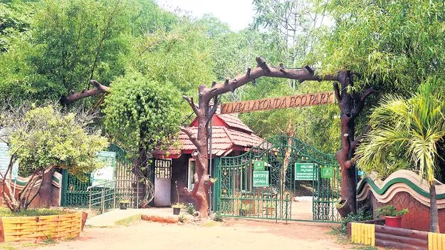 కంబాలకొండలో కాటేజీలు