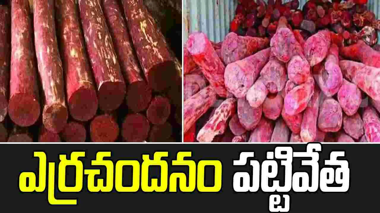 రూ.5 కోట్ల విలువైన ఎర్రచందనం పట్టివేత..