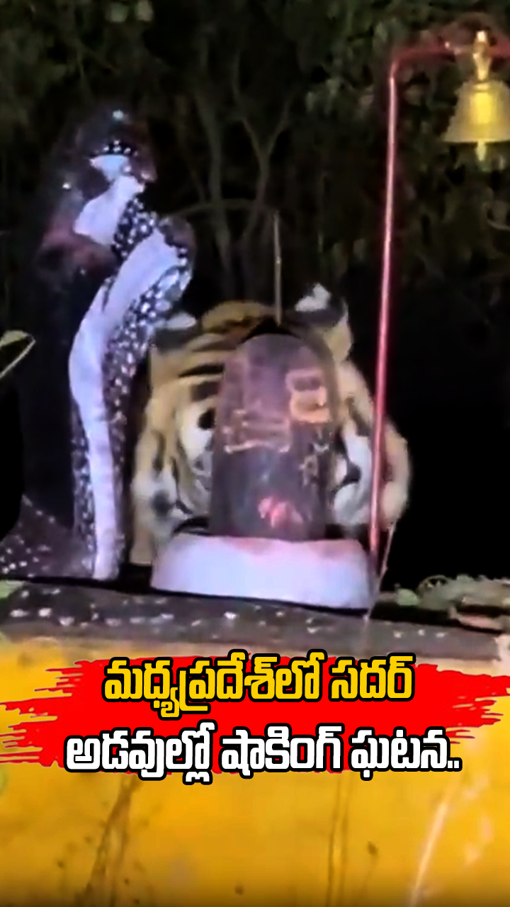 ABN Andhrajyothy Telugu Short News Video - Quick News Updates in 60 Seconds