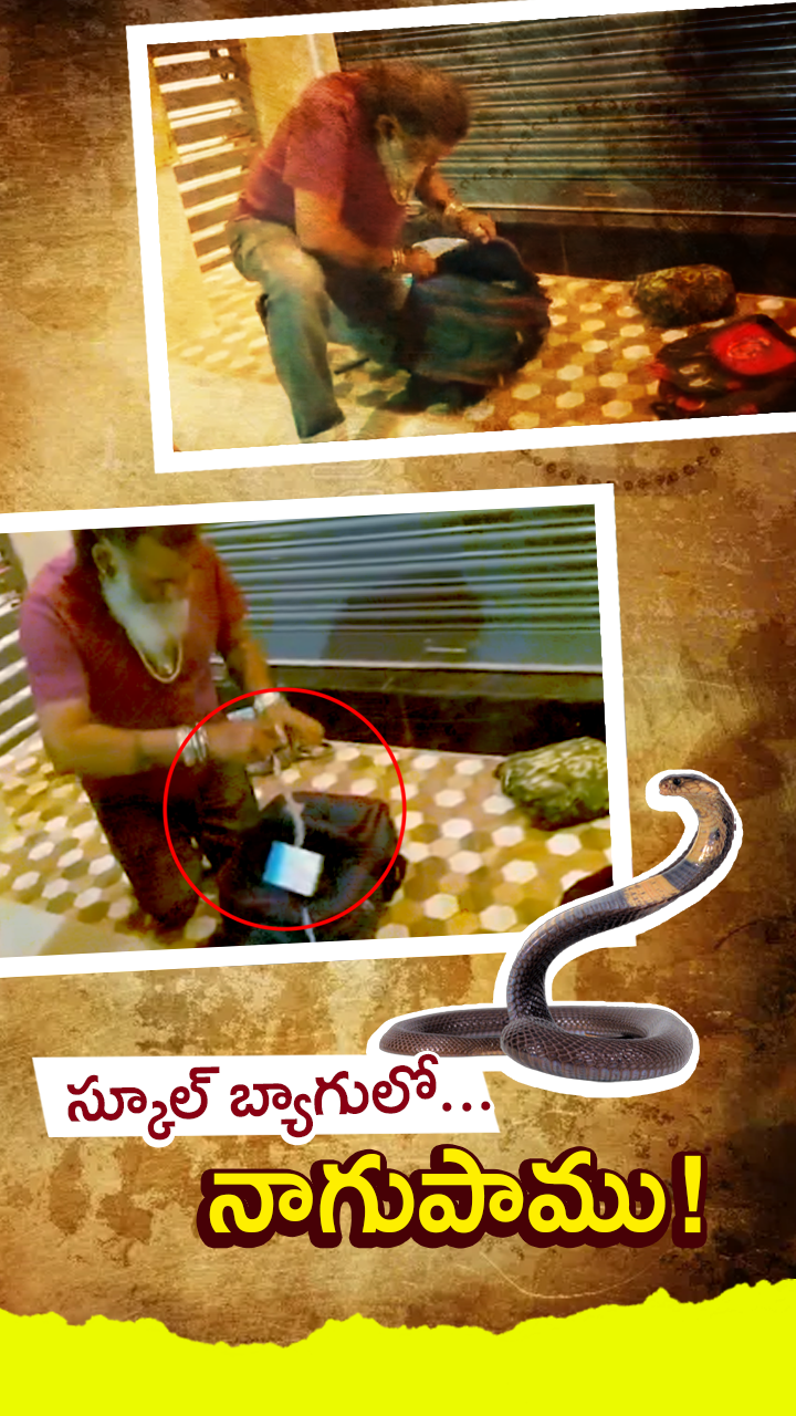 మైసూరులో తృటిలో తప్పిన ప్రమాదం!