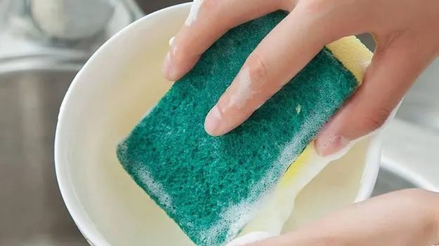 డిష్ వాషింగ్ స్పాంజ్‌‌లో బ్యాక్టీరియా..బీ కేర్ ఫుల్