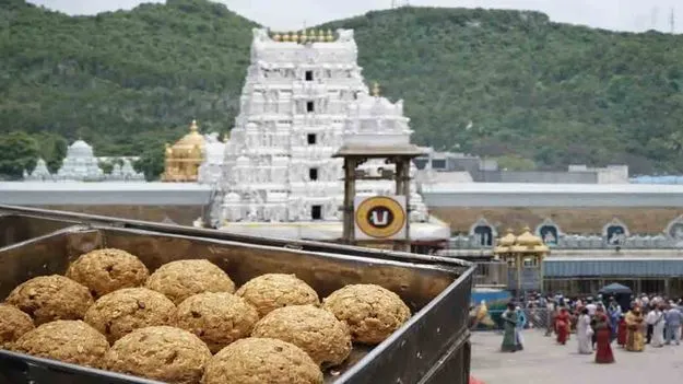 శ్రీవారి లడ్డూ ప్రసాదంపై సీఎం చంద్రబాబుకు ఆలయ పెద్ద జీయర్ లేఖ