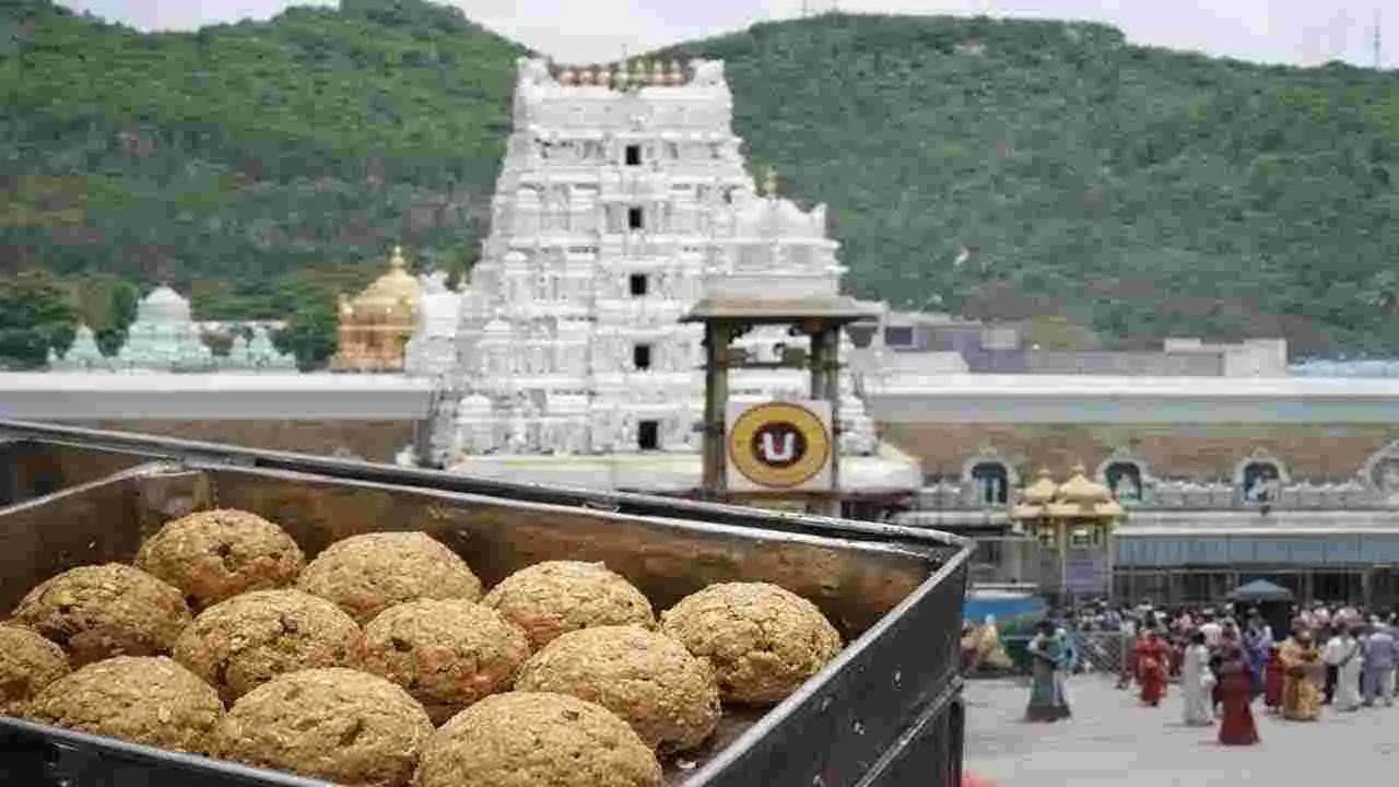 శ్రీవారి లడ్డూ ప్రసాదంపై సీఎం చంద్రబాబుకు ఆలయ పెద్ద జీయర్ లేఖ