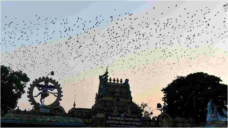 కొవ్వూరు గోపాద క్షేత్రంలో ప్రకృతి అందాల విందు