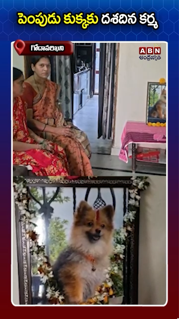 ABN Andhrajyothy Telugu Short News Video - Quick News Updates in 60 Seconds