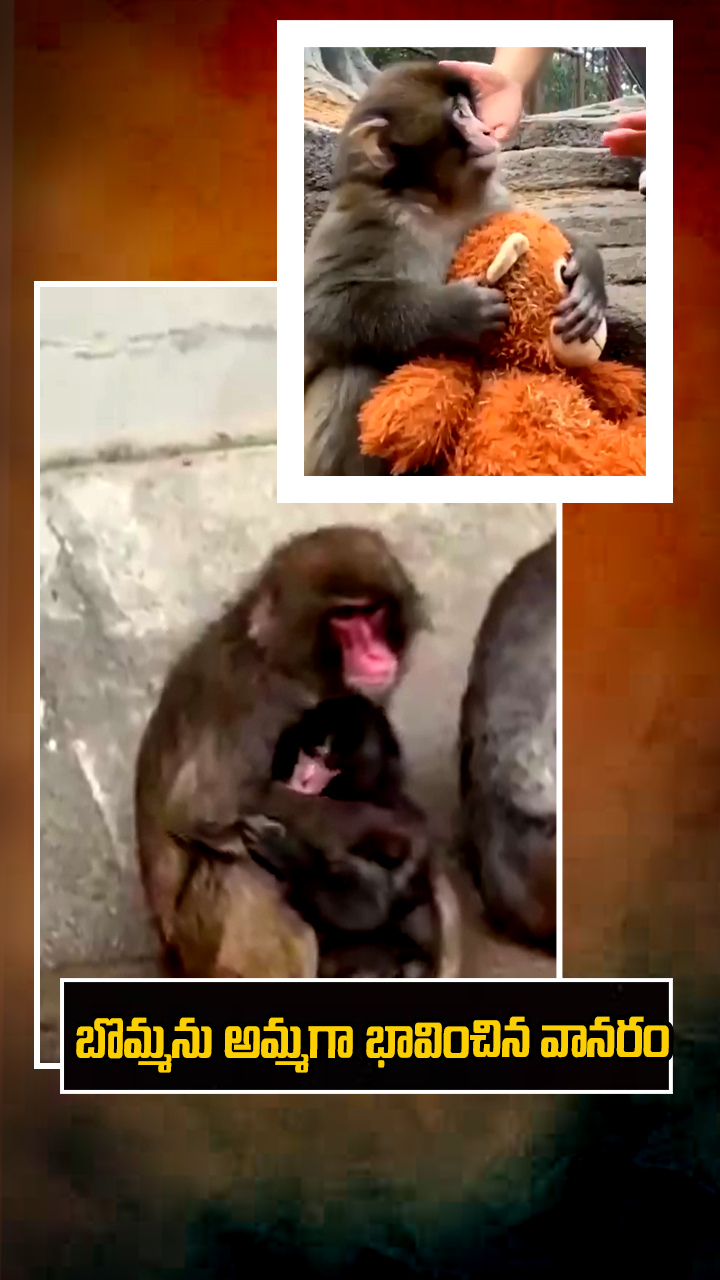 ABN Andhrajyothy Telugu Short News Video - Quick News Updates in 60 Seconds