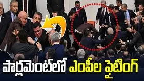 తుర్కియే పార్లమెంట్‌లో ఎంపీల పిడిగుద్దుల వర్షం.. వీడియో వైరల్