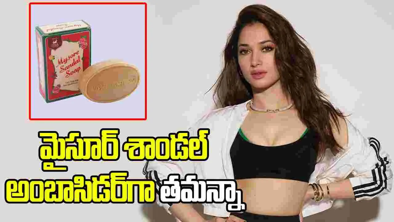 మైసూర్ శాండల్ సోప్ ప్రచారకర్తగా తమన్నా... కన్నడిగుల ఫైర్