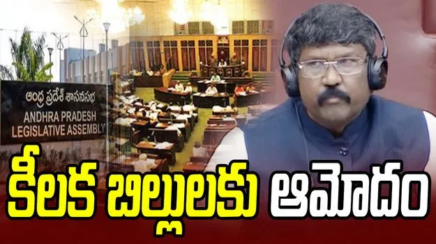 ఏపీ శాసనమండలిలో రెండు కీలక బిల్లులకు ఆమోదం