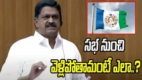 శాసనమండలిలో గందరగోళం.. శ్రీవారి లడ్డూ అంశంపై వాగ్వాదం