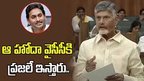 వైసీపీకి ప్రతిపక్ష హోదా ఎవరో ఇచ్చేది కాదు: సీఎం చంద్రబాబు
