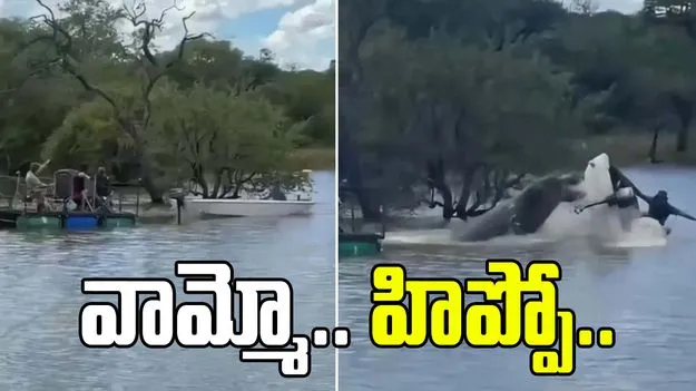 వామ్మో.. హిప్పోకు ఎంత బలముందో చూశారా.. నదిలో పడవ పరిస్థితి చూస్తే షాకవ్వాల్సిందే.. 