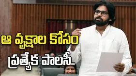 రహదారుల పక్కన ఉండే వృక్షాల కోసం ప్రత్యేక పాలసీ: పవన్ కల్యాణ్