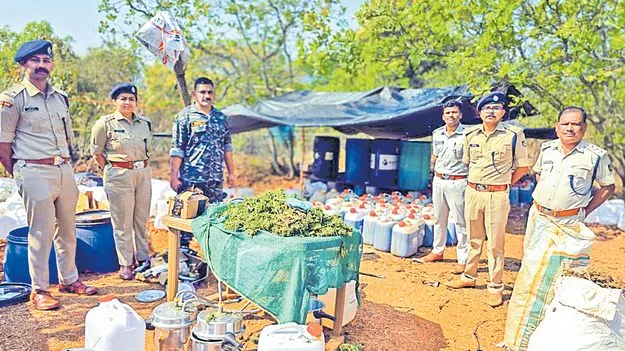 200 కోట్ల గంజాయి!