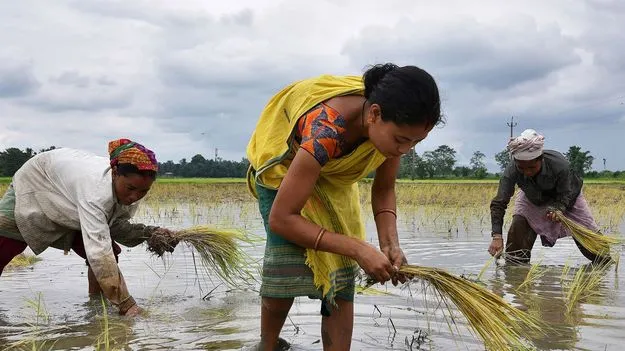 స్తంభించిన ‘సహకారం’