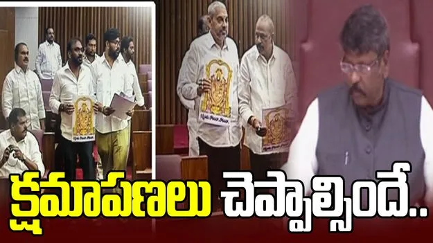 వైసీపీ క్షమాపణ చెప్పాలంటూ టీడీపీ డిమాండ్.. శాసనమండలి వాయిదా