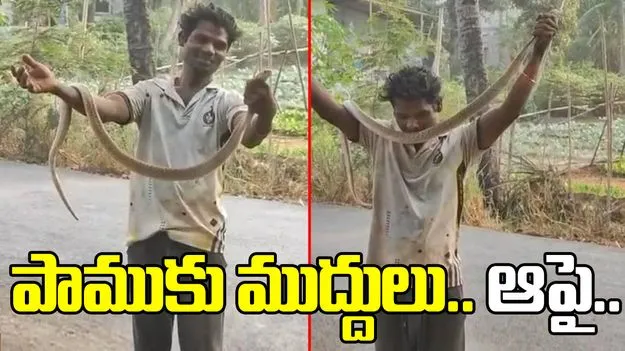 పాముకు ముద్దులు పెట్టాడు.. ప్రాణం పోయింది..
