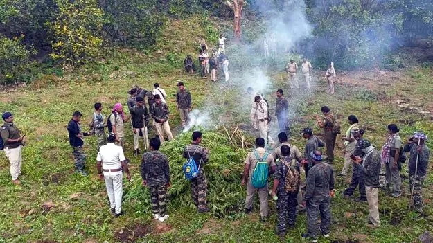 గంజాయిపై సంయుక్త పోరు