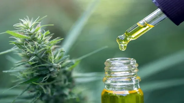 రూ.1.4 కోట్ల విలువైన ద్రవరూప గంజాయి స్వాధీనం