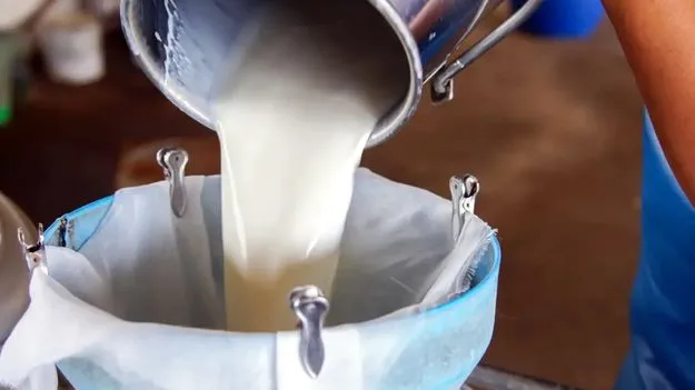 కల్తీ పాలలో విషపూరిత ఇథలీన్‌ గ్లైకాల్‌